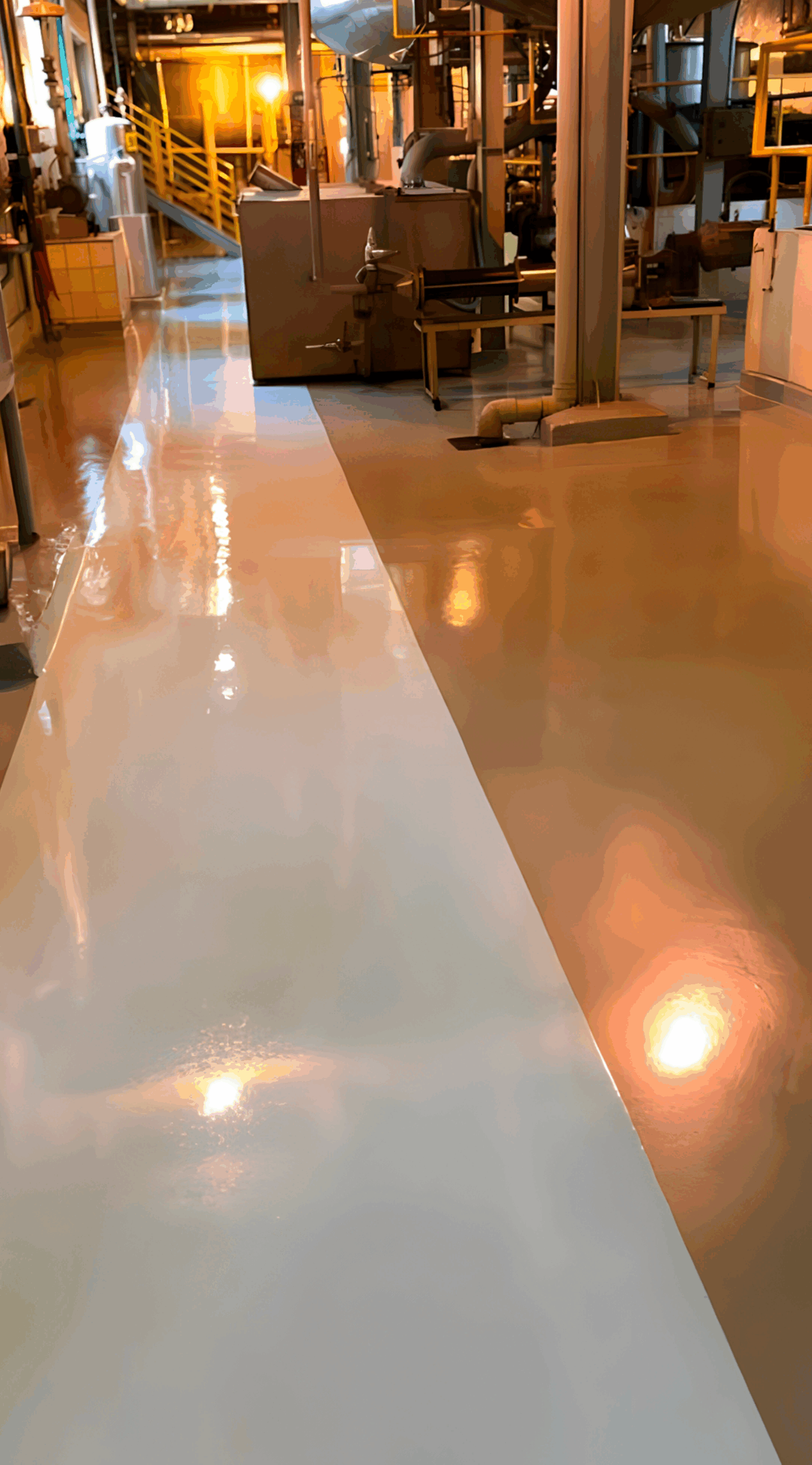 fotos-ok-Prancheta-3